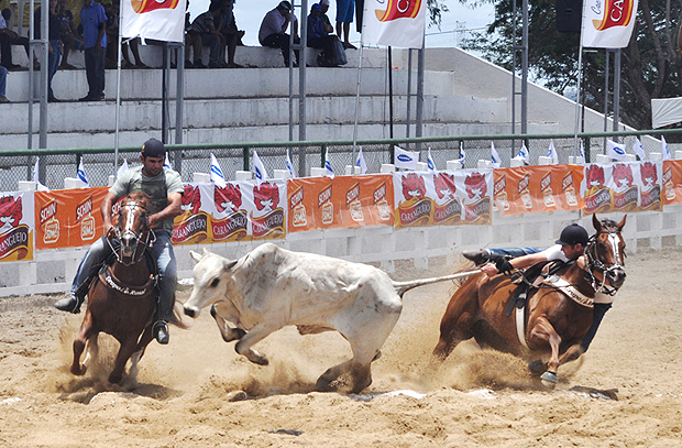 A norma prevê que os organizadores dos eventos ficam obrigados a adotar medidas de proteção à saúde e à integridade física do público, dos vaqueiros e dos animais