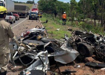 (Foto: Divulgação - Bombeiros)