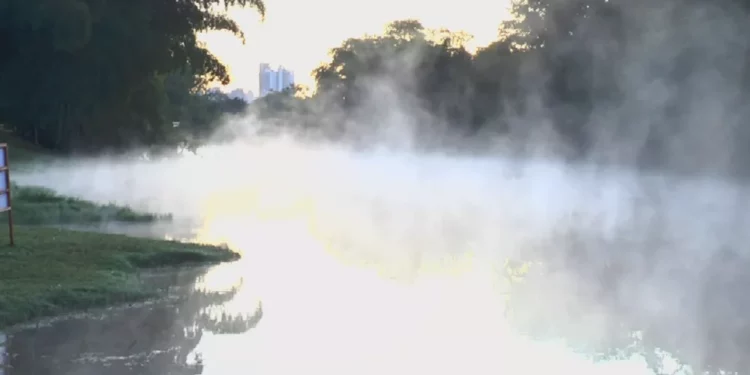 Jardim Botânico amanhece com neblina em lago por conta do frio — Foto: Reprodução/TV Anhanguera