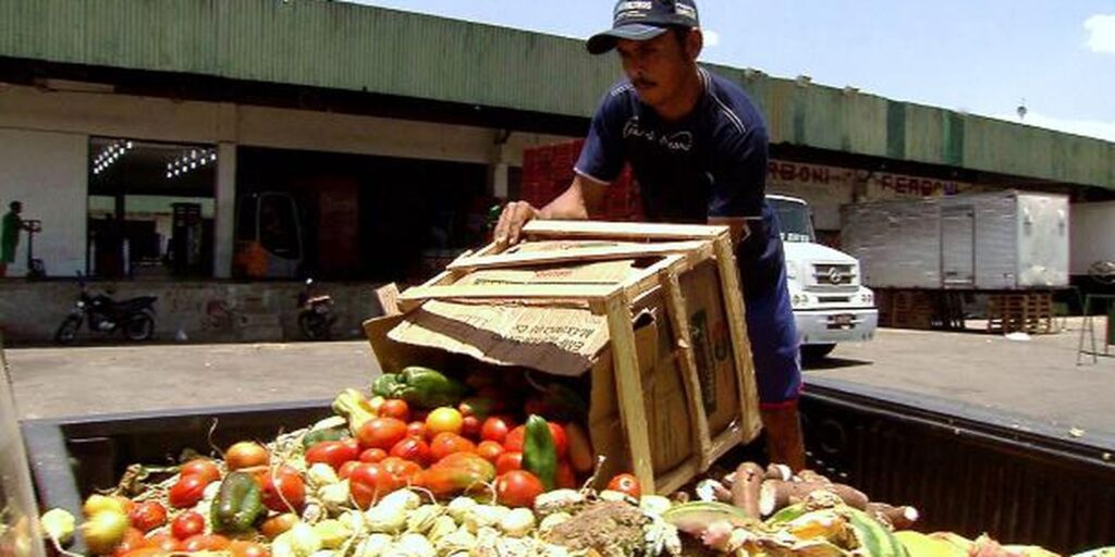 pesquisa-traz-dicas-sobre-como-reduzir-desperdicio-de-alimentos