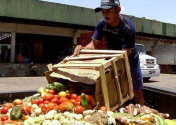 pesquisa-traz-dicas-sobre-como-reduzir-desperdicio-de-alimentos