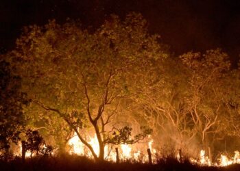 roraima-tem-45%-do-total-de-focos-de-queimadas-do-pais-em-fevereiro