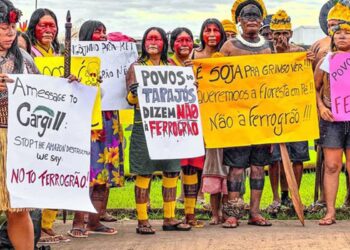 indigenas-protestam-contra-construcao-da-ferrograo