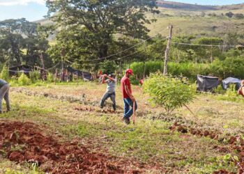 justica-nega-reintegracao-em-fazenda-ocupada-pelo-mst-em-minas-gerais