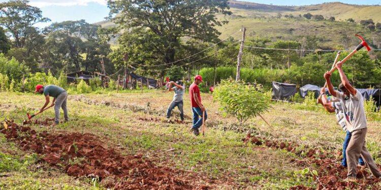 justica-nega-reintegracao-em-fazenda-ocupada-pelo-mst-em-minas-gerais