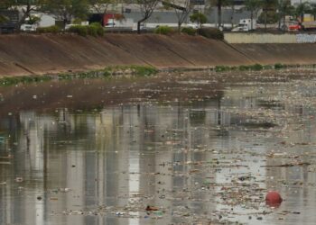 qualidade-da-agua-na-mata-atlantica-melhora,-mas-alerta-persiste