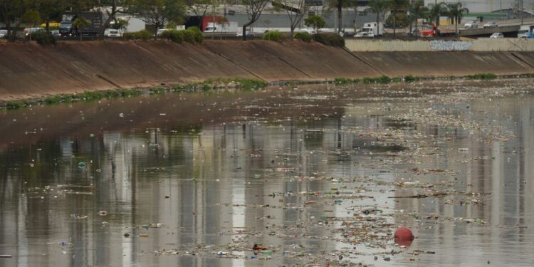 qualidade-da-agua-na-mata-atlantica-melhora,-mas-alerta-persiste