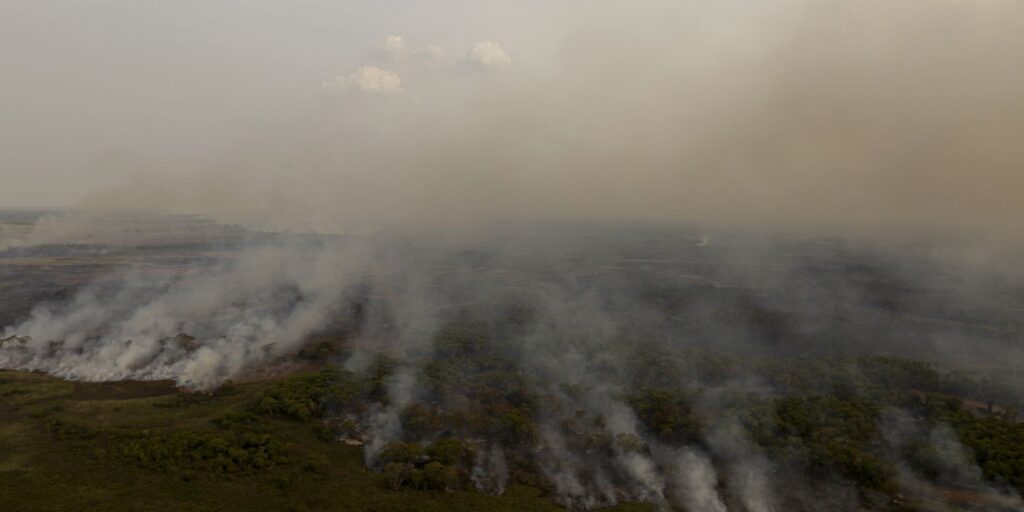 pl-que-muda-codigo-florestal-vai-desproteger-48-milhoes-de-hectares