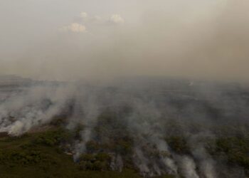 pl-que-muda-codigo-florestal-vai-desproteger-48-milhoes-de-hectares